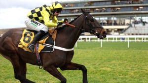 Shishkin is in the King George Chase race preview and betting tips